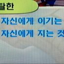 짬뽕프로 이미지