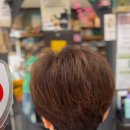 하남파워리프팅 주식회사 | 창원 도계동 뿌리볼륨펌 푹 꺼진 뒷통수랑 갈라진 모류가 동시에 잡힌 이유