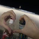 [부국제 자봉 후기] 좌석 어디세요? 빈 좌석에 앉으세요 asmr