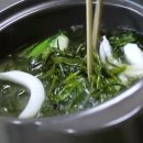 신지운 카카오 검색결과