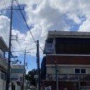 달곰식당 | 동명동 초밥 맛집 달곰식당 해물볶음우동 추천