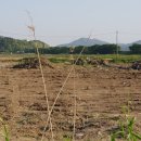 산들강농장 이미지