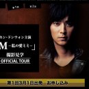 미미여행사 이미지