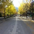 용문산 관광지 이미지