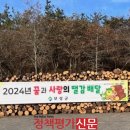 꿈과사랑 이미지