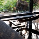 시사오 하우스 제주 이미지