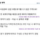 365일 여행사