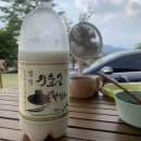 수출동 이미지