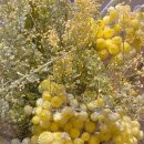 버스정류장(현대해상 앞) | 인천공항 장기주차장 예약 방법 주차타워 요금 꿀팁