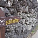 서귀포 김정희 유배지 이미지