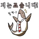골드문참치