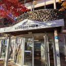 팔공산케이블카 | 대구 팔공산 단풍 실시간 케이블카 후기! (ft. 10% 할인 팁과 절정 시기)