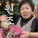 백경수산