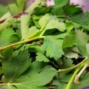 제일튀김 이미지