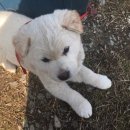 풍이농장 이미지