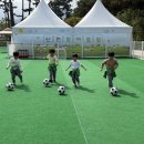 🍁신천물놀이장🍁 이미지