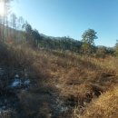 무릉도원면-18 이미지