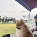 댕그라운드 이미지