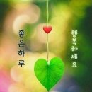 달빛사랑