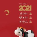 새해~벌써6일이나 지난 2021년 살아보니 올한해도 열심히 359일을 잘 살아야겠다