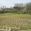 덕정농장 이미지