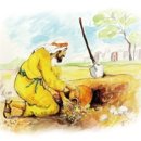 보화 - 군포시 고산로724번길 46 | 보화