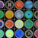 공스크린골프아카데미 이미지