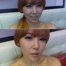 징거 카카오 검색결과