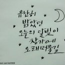 캘리그라피, 이제는 펜이다 이미지