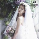 웨딩스쿨 결혼 이미지