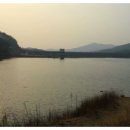 고모리691 이미지