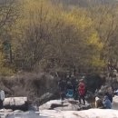 [일원1] 스마트폰 유튜브 실전 (6주: 1/17~2/21) | 그 가수 온다던데?구례 산수유꽃축제 일정 초대가수 라인업 주차장 총정리