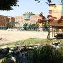 입북초등학교 이미지