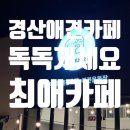 독독!개세요