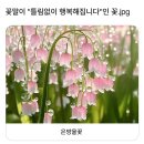 행복회로 - 1203 | 행복회로