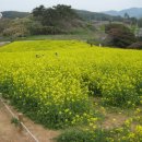 좋은아침 이미지