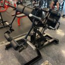 웨스턴짐 | 영통역헬스장 웨스턴짐 신규 머신 Tri-core 입고!
