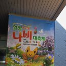 미리가본 함평 나비축제 2025