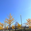 원당공원 화장실 이미지