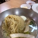 제육고수 | 강남 평양냉면 맛집 진미평양냉면 만두와 제육까지 내돈내산 후기