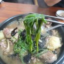 능이 버섯고을 이미지