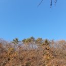 철원펜션)매봉산장펜션/가성비숙소/철원가족여행
