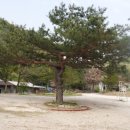 산천민박 네이버블로그