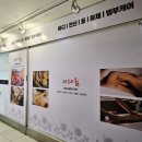 일산 등관리잘하는곳 더 다옴