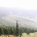 춘이농장 이미지