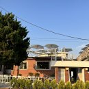 노을이예쁜집 이미지