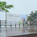 서명숙이사장님 49재 이미지