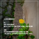 시시비비