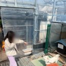 다은농장 이미지