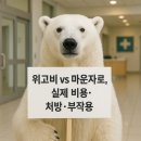 마법의약국 | 🎯 위고비 vs 마운자로, 실제 비용·처방·부작용 리얼가이드